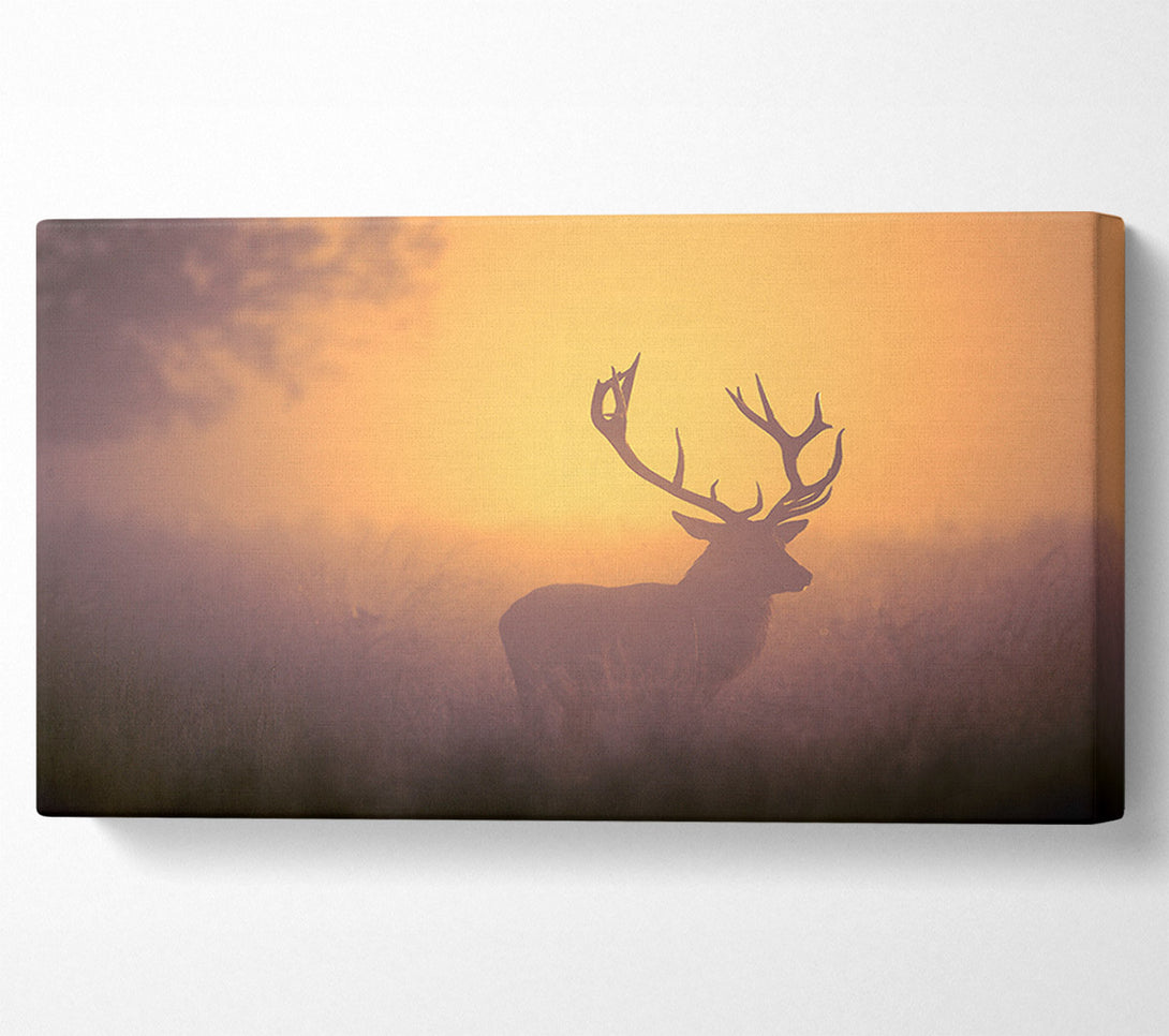  A Canvas Print of Sunset Stag Canvas Print