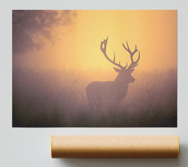 Sunset Stag Giclee Print