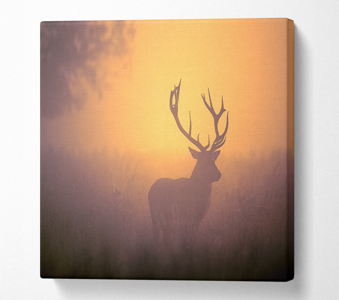  A Canvas Print of Sunset Stag Canvas Print