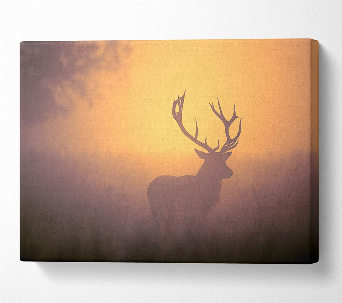  A Canvas Print of Sunset Stag Canvas Print
