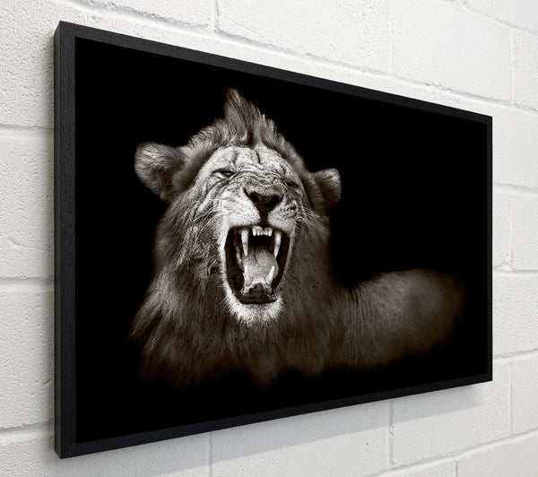 Lion Roar