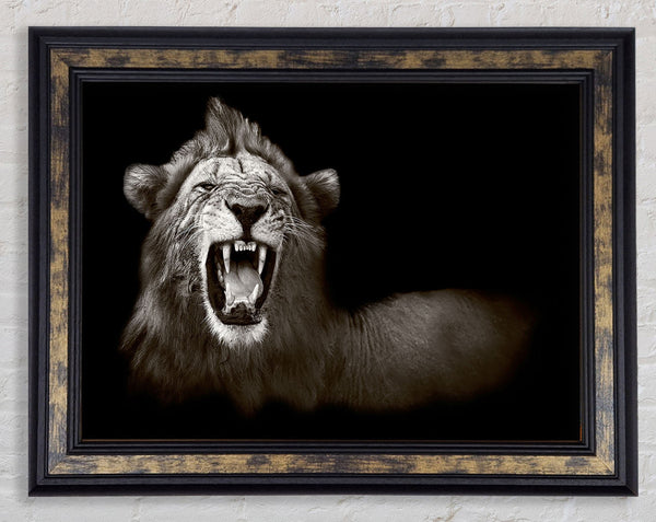 Lion Roar Framed Print