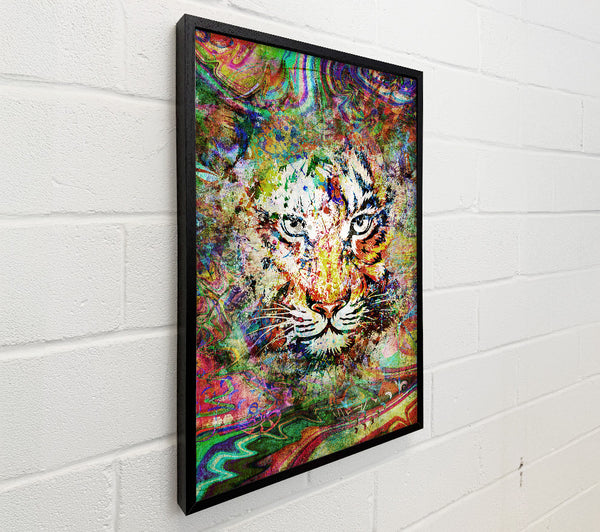 Rainbow Splash Tiger