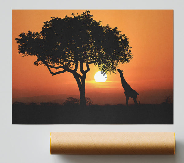 Giraffe Safari Sunset Print