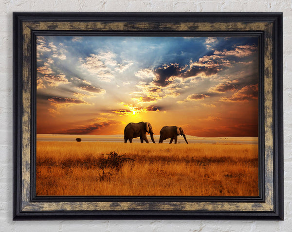 Elefantenduo Sonnenuntergang