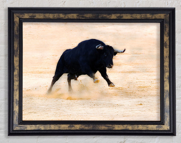 Bull Play Framed Print