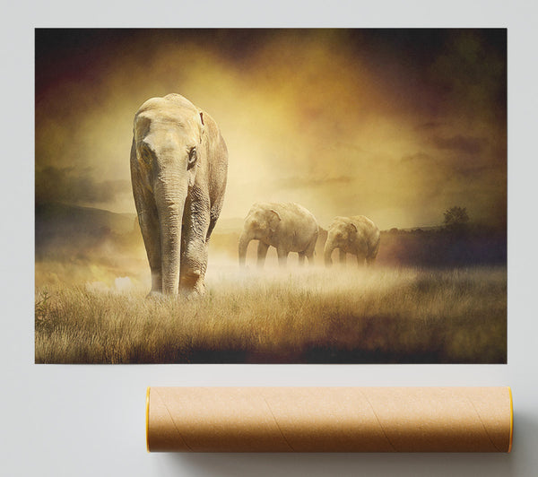 Stunning Elephant Pride Print