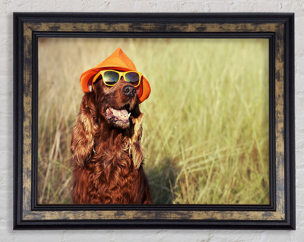 Sunny Days Dog Framed Print