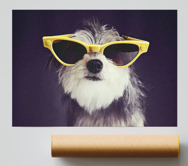 Sunglasses Dog Pooch Print