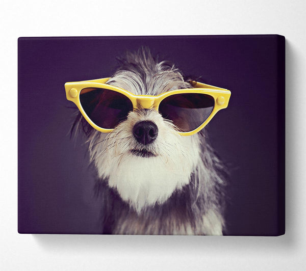  A Canvas Print of Sunglasses Dog Pooch Canvas Art