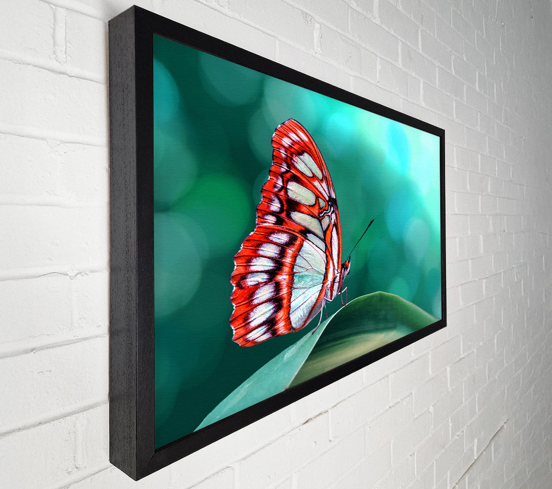  A Canvas Print of Butterfly Wings 1 Canvas Wall Art