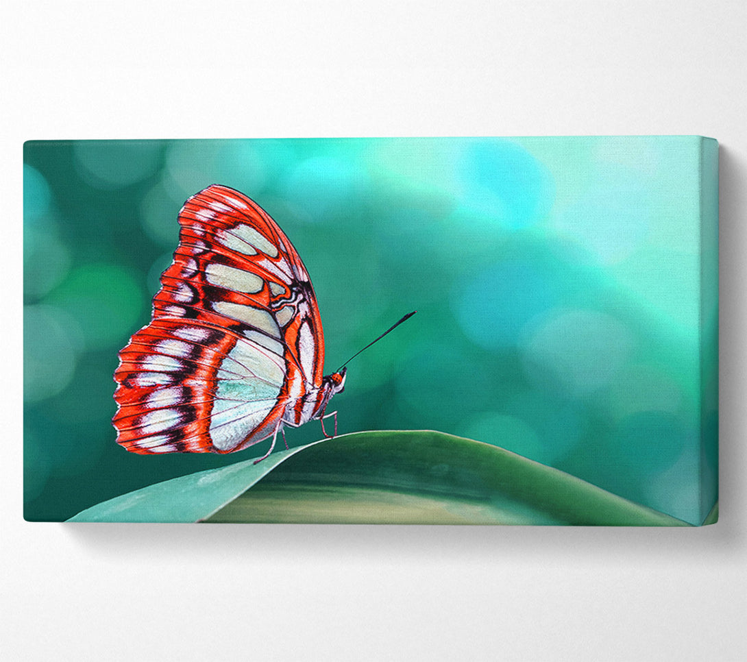  A Canvas Print of Butterfly Wings 1 Canvas Wall Art