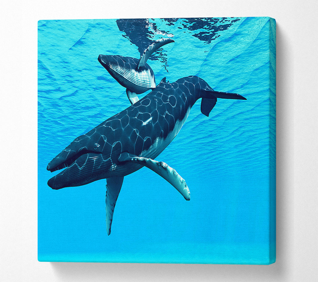  A Canvas Print of Whale Fun Canvas Wall Art