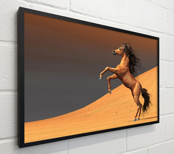Stunning Horse Desert