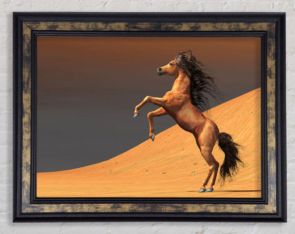 Stunning Horse Desert Framed Print