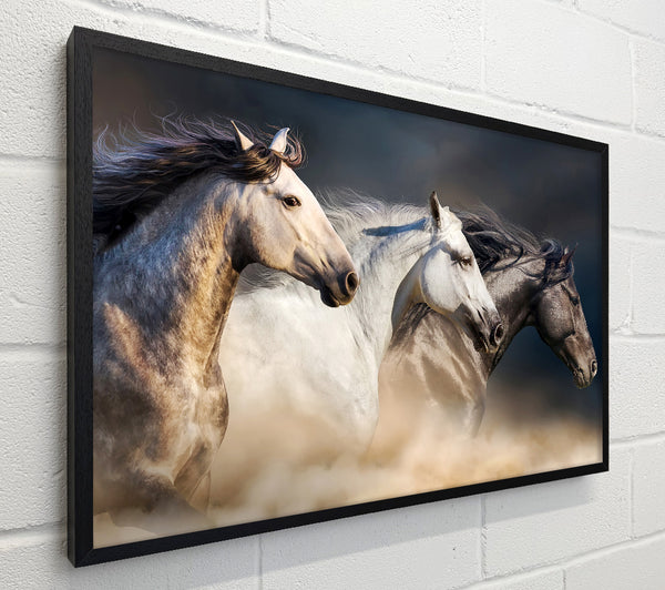 Wild Horse Trio