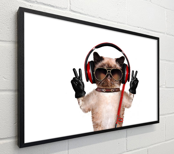 Musical Peace Cat