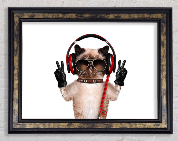 Musical Peace Cat