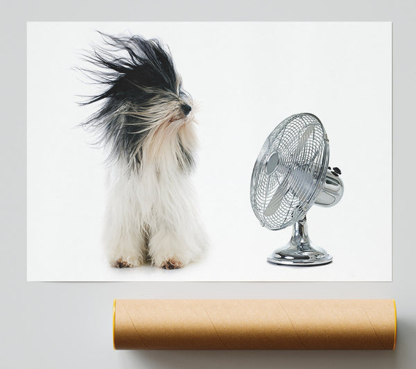 Old English Sheepdog Cooling Off Print