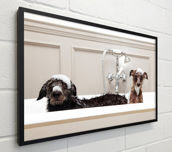 Bath Time Dogs