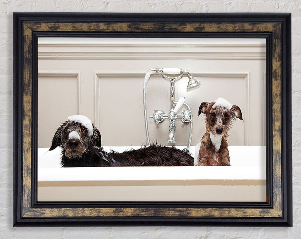 Bath Time Dogs Framed Print