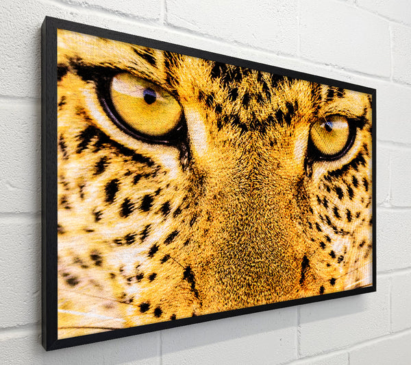 Leopard Face