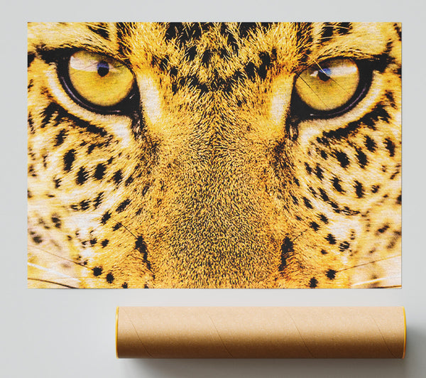 Leopard Face Print