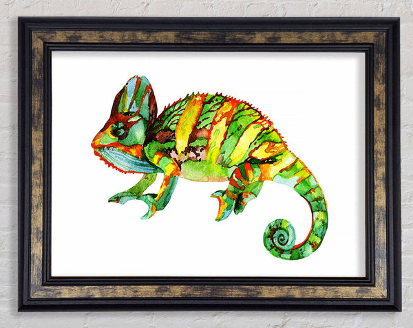 Chameleon Colours Framed Print