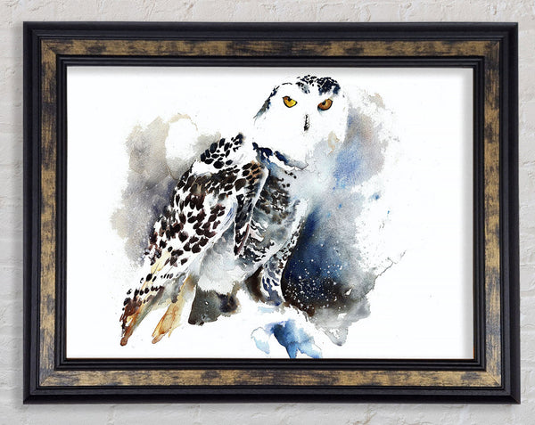 Night Owl Framed Print