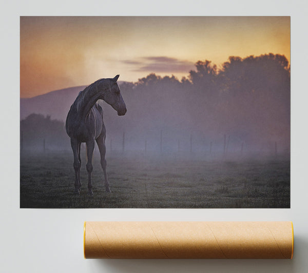Sunrise Horse Giclee Print
