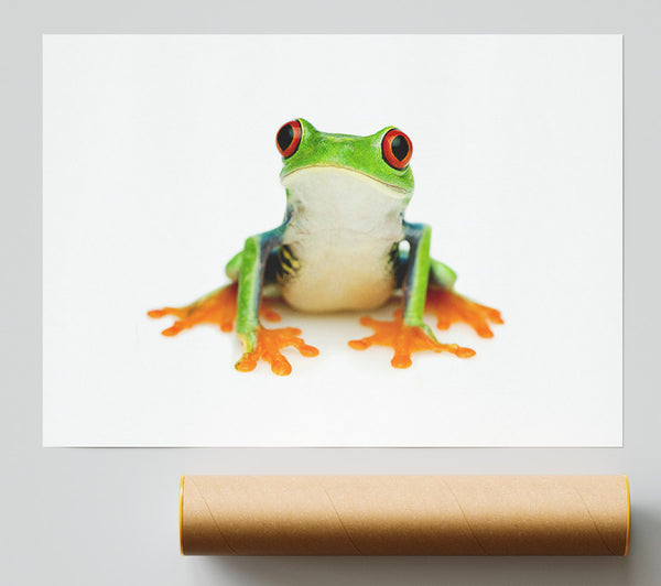 Frog Call Poster