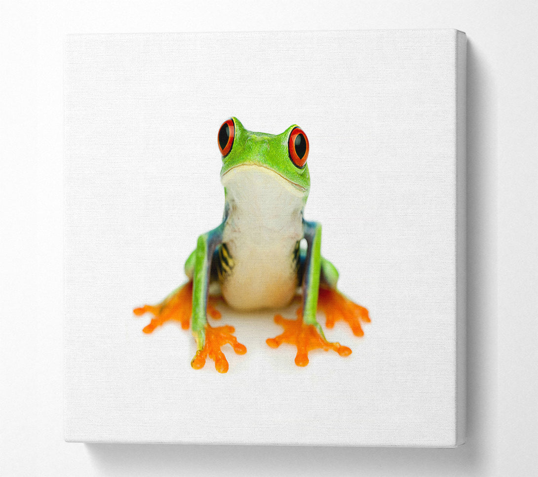  A Canvas Print of Frog Call Canvas Print
