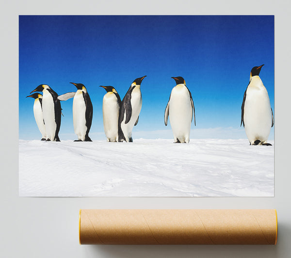 Penguin Gossip Giclee Print