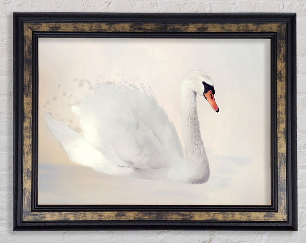 Stunning Swan Splash Framed Print