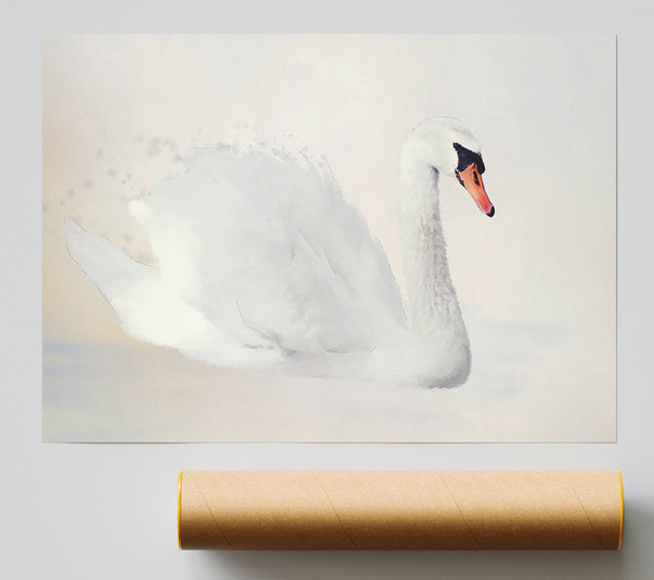 Stunning Swan Splash Print