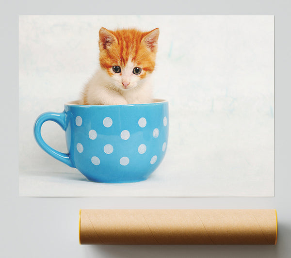Tea Cup Kitten Cat Print