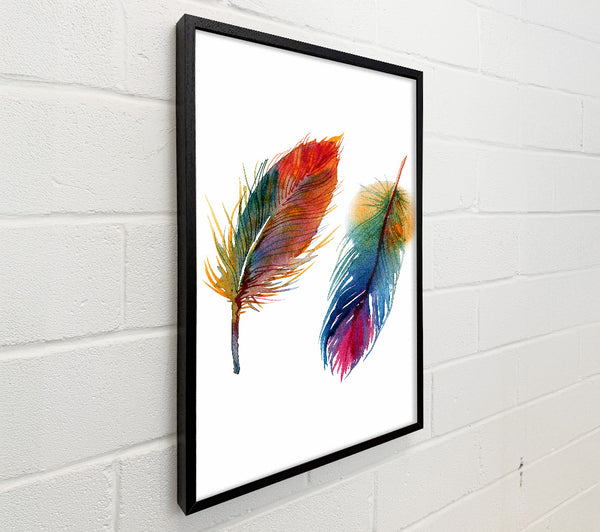 Rainbow Feathers