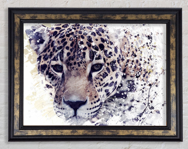 Leopard Splash Framed Print