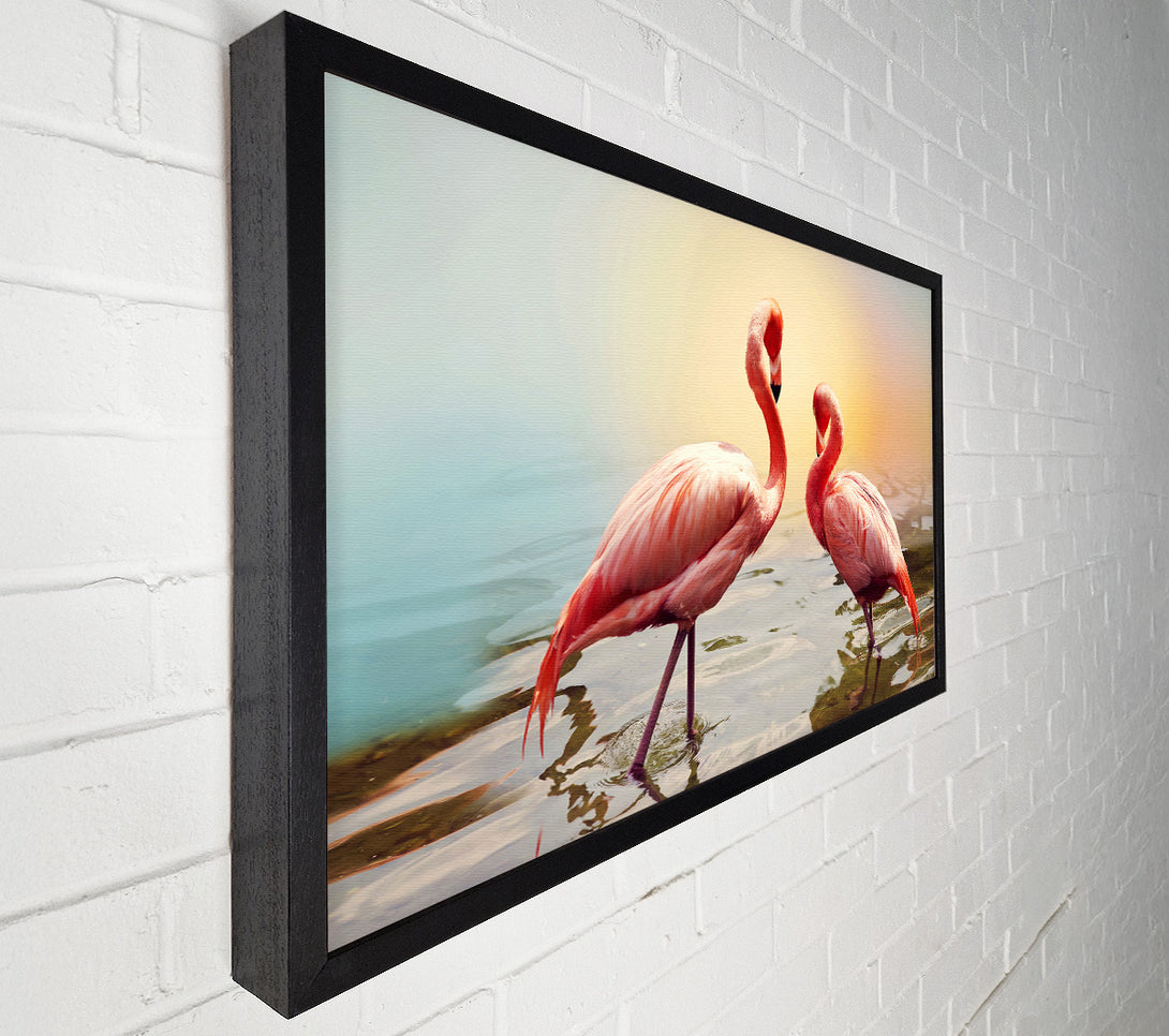  A Canvas Print of Flamingo Sunset Canvas Art