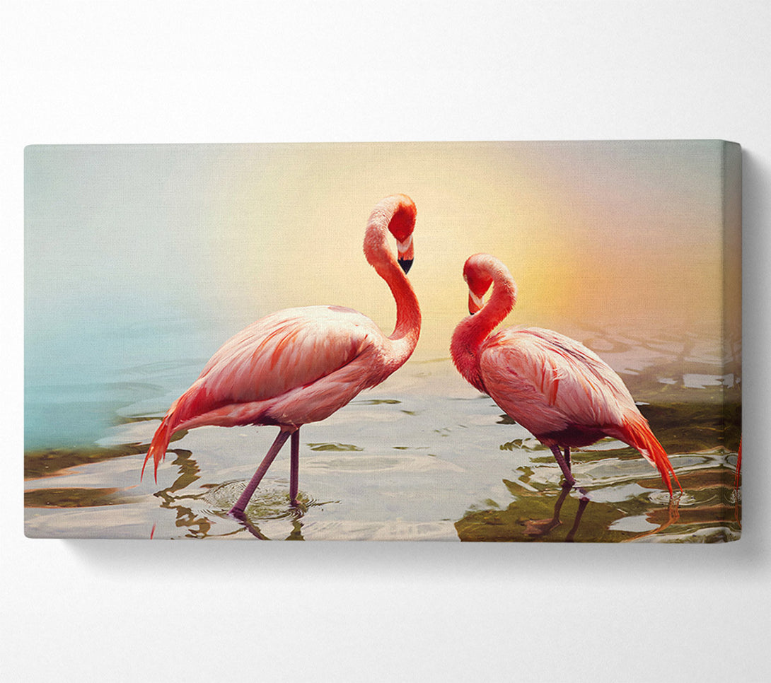  A Canvas Print of Flamingo Sunset Canvas Art