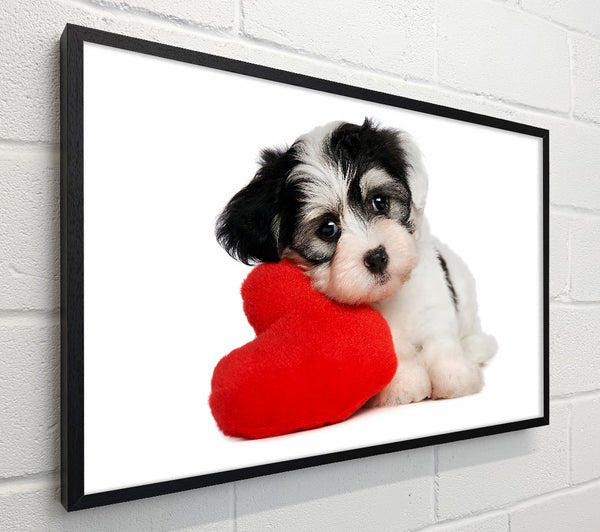 Puppy Love