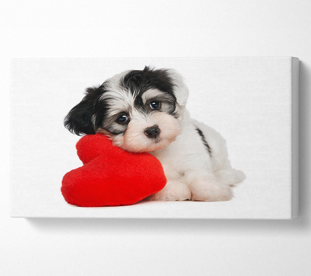  A Canvas Print of Puppy Love Canvas Wall Art
