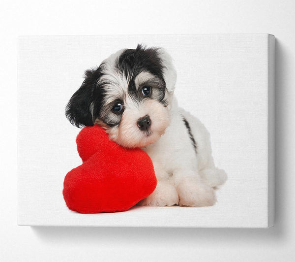  A Canvas Print of Puppy Love Canvas Wall Art
