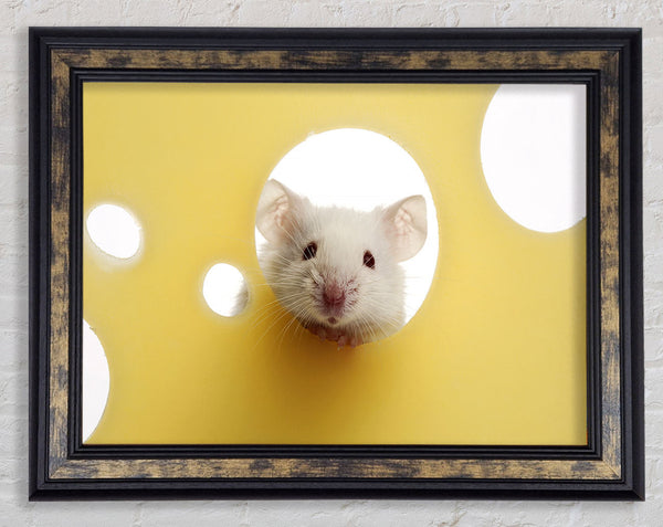 Cheesy Mouse Framed Print