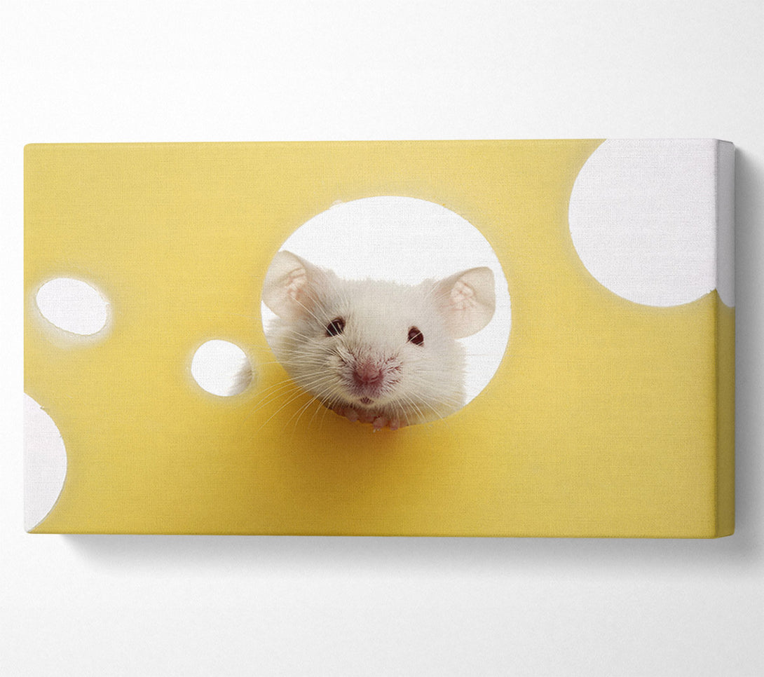 A Canvas Print of Cheesy Mouse Canvas Wall Art