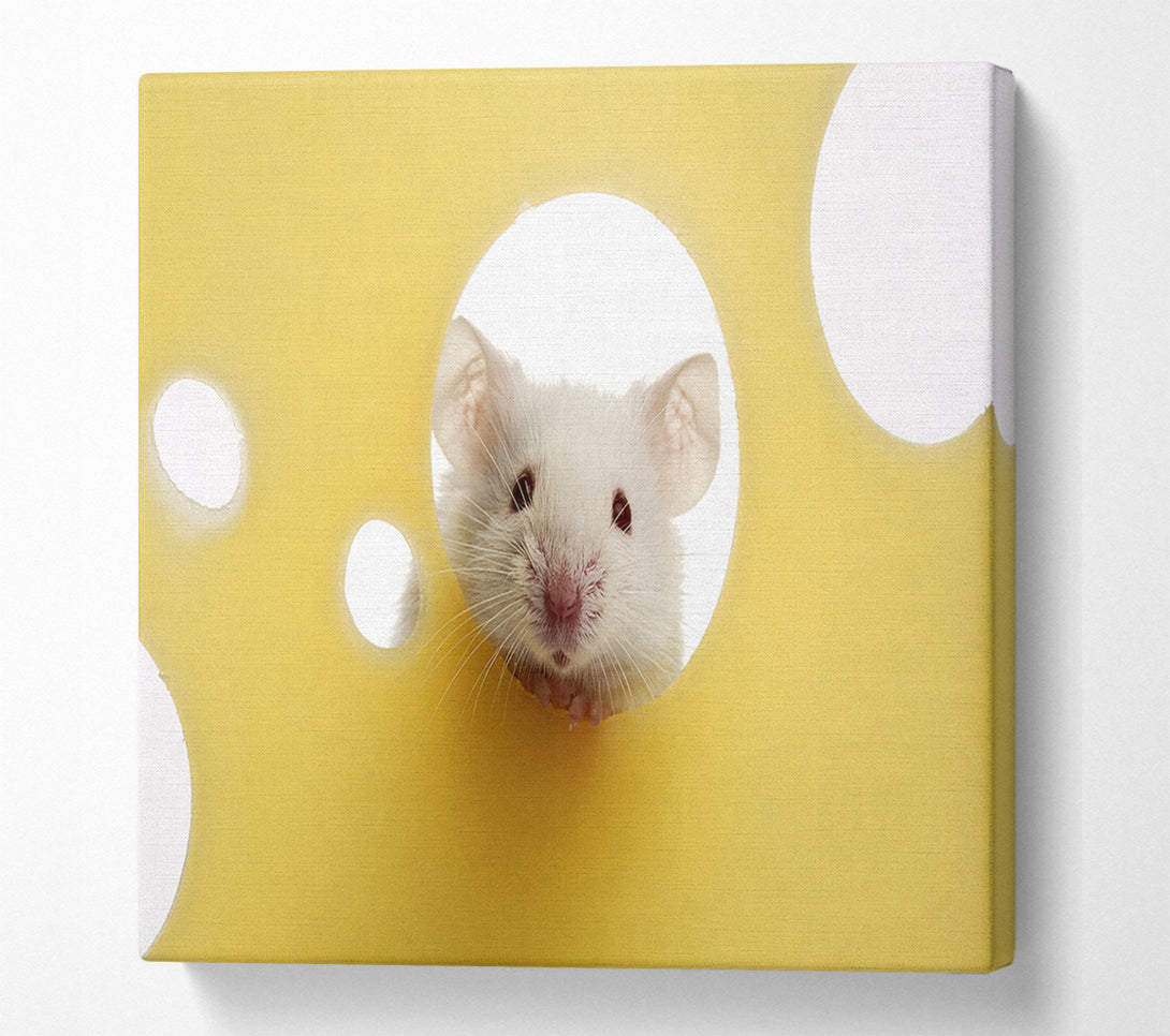  A Canvas Print of Cheesy Mouse Canvas Wall Art
