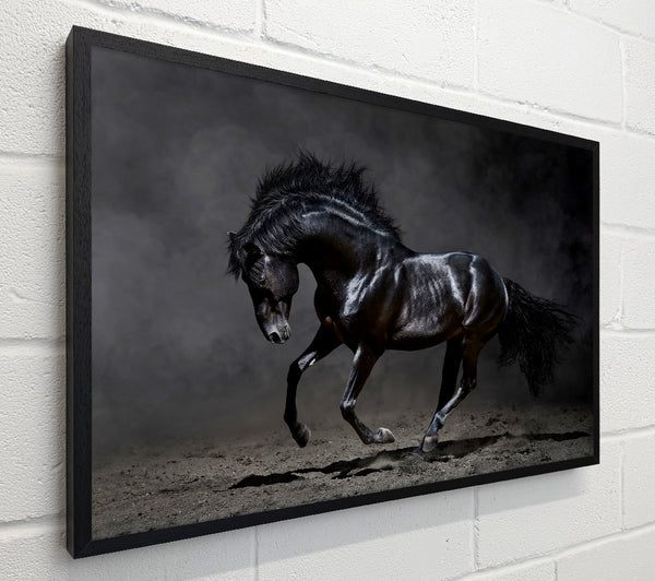 Black Beauty Horse