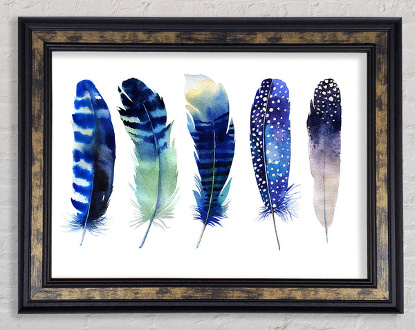 Night Feathers Framed Print