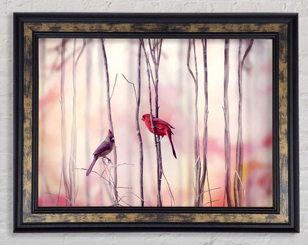 Winter Birds Framed Print