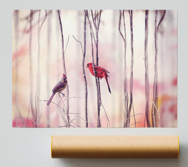 Winter Birds Print